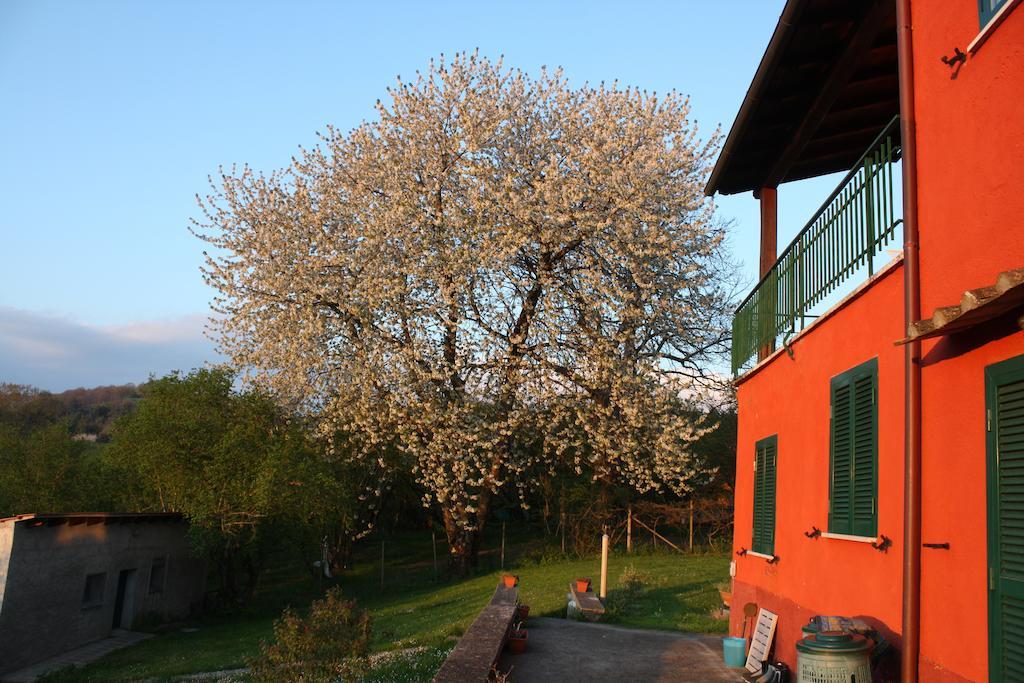 La Finestra Sul Lago Ronciglione  Buitenkant foto