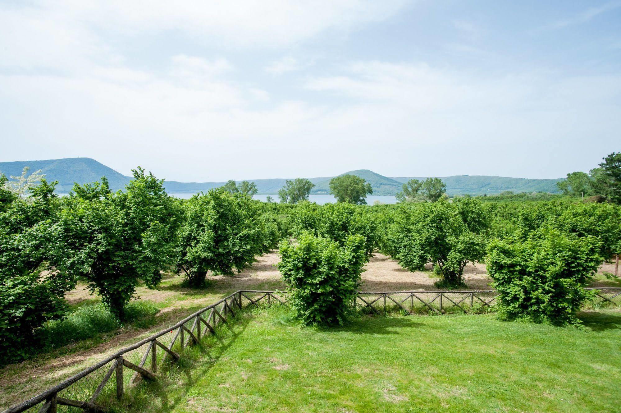 La Finestra Sul Lago Ronciglione  Buitenkant foto