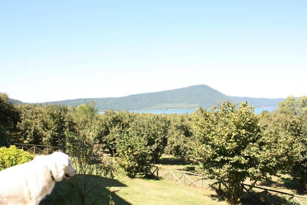 La Finestra Sul Lago Ronciglione  Buitenkant foto